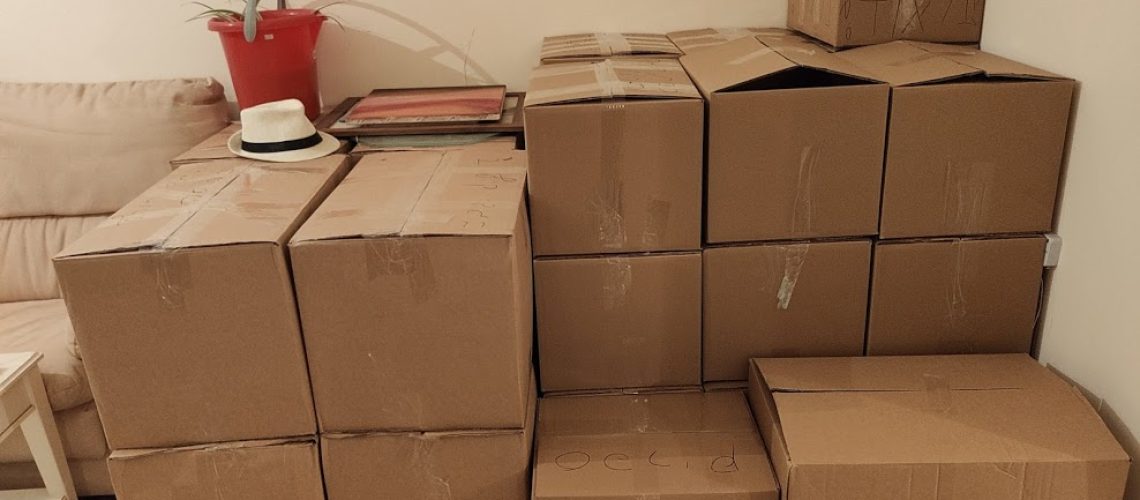 מדריך הקרטונים השלם